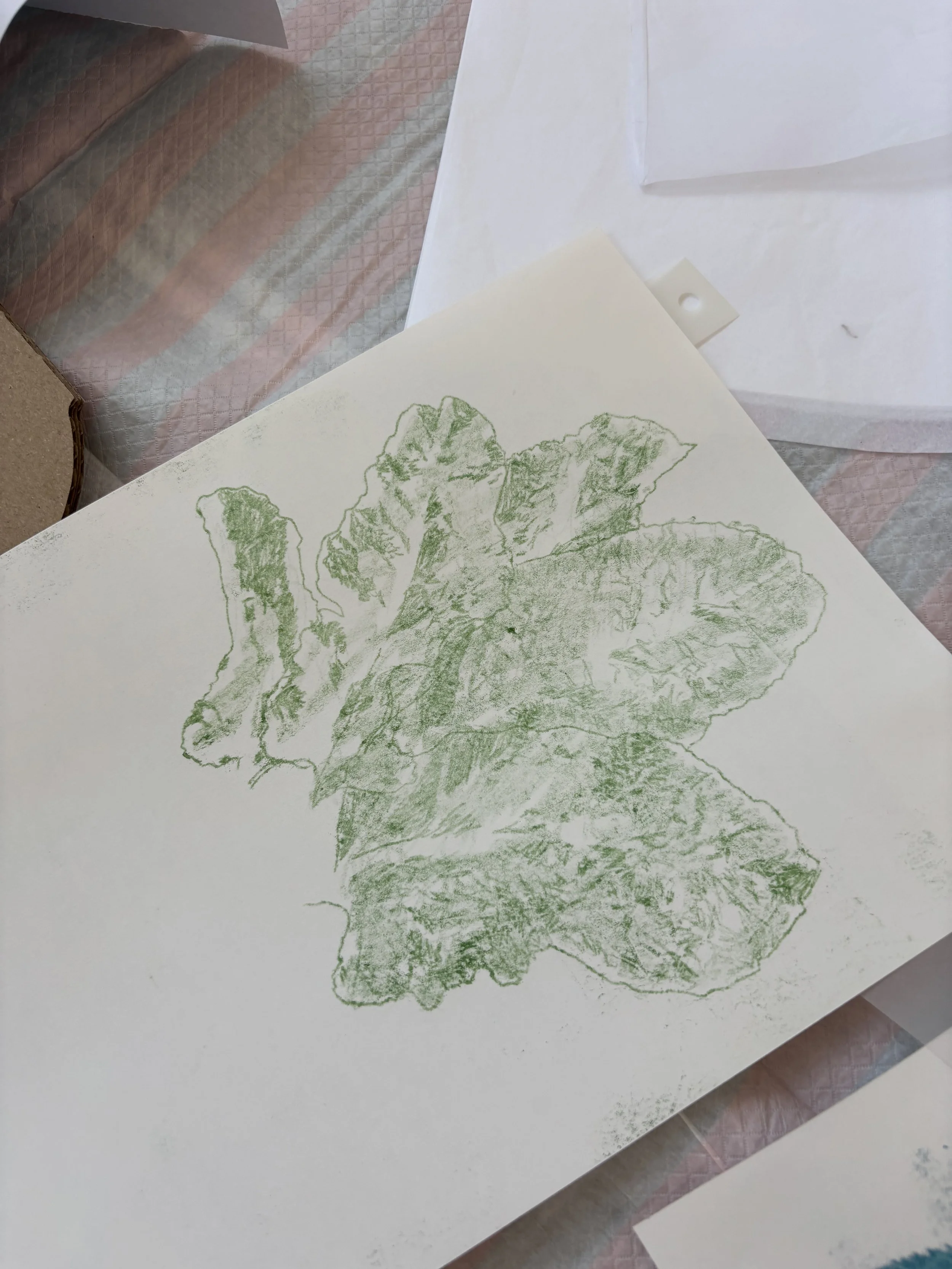 IMG_2178.jpeg