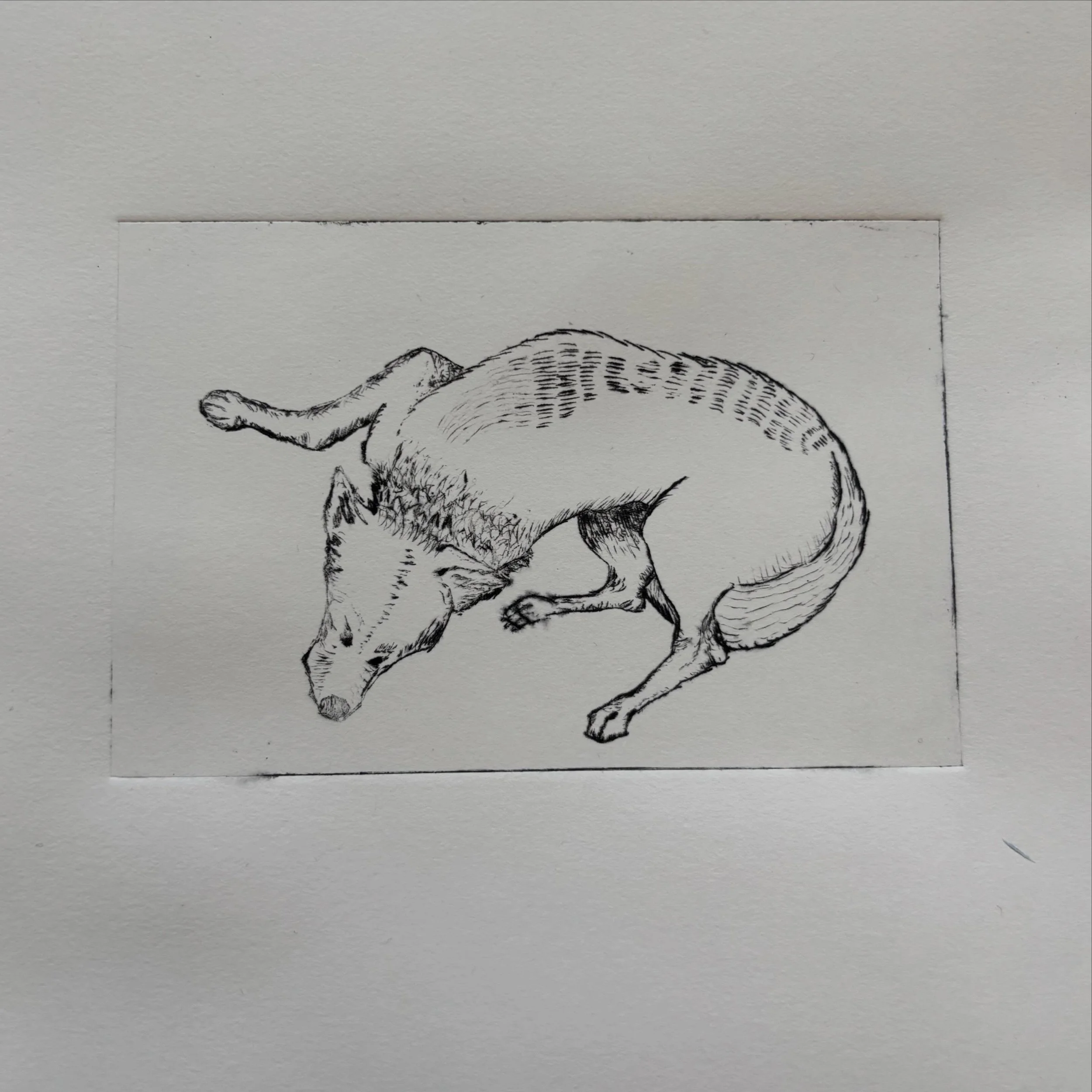 A few snippets from today&rsquo;s workshop at @scribble_studio_rushden ❤️

#printmakingworkshop #etching #drypoint
