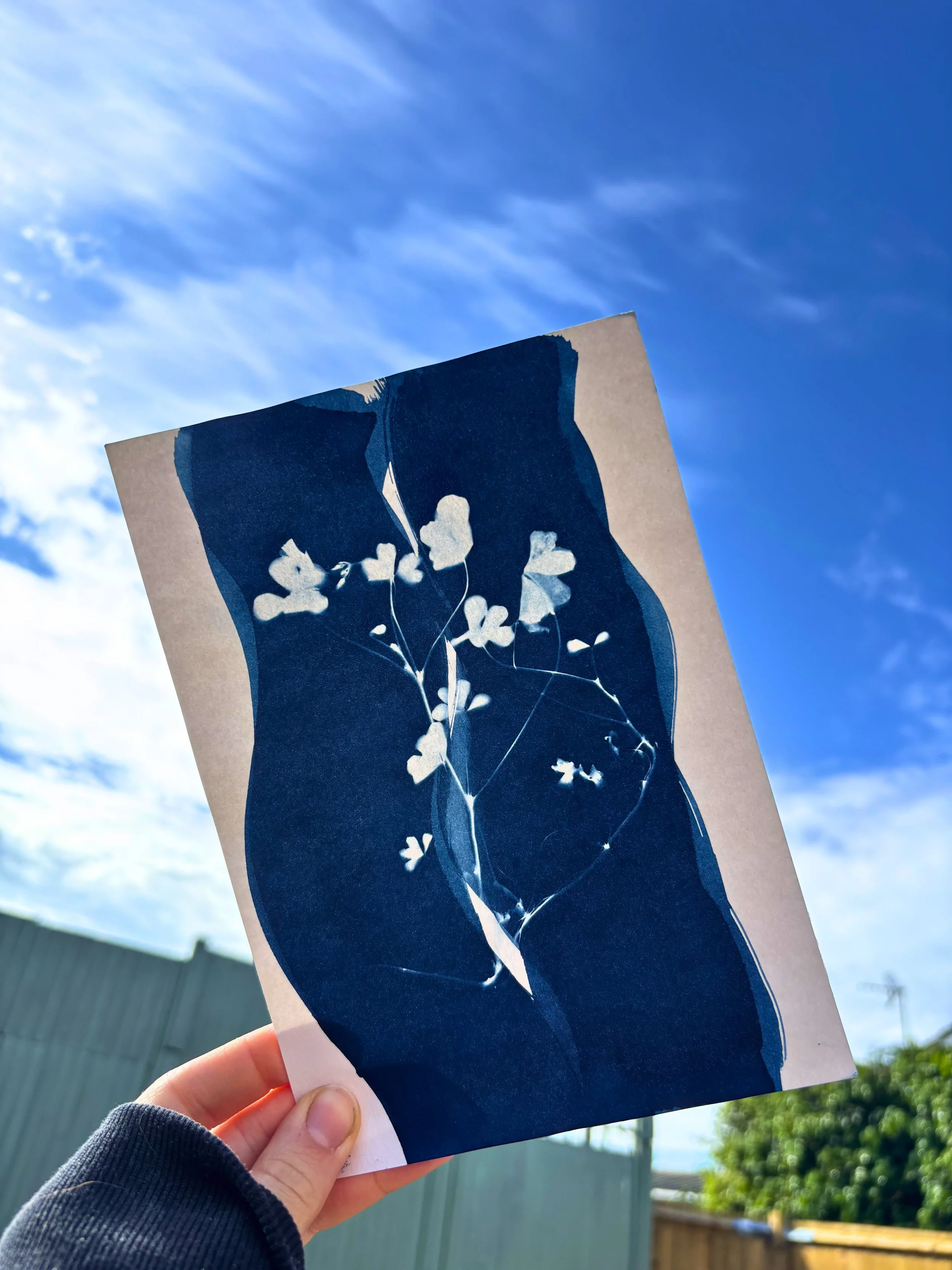 cyanotype 2.jpg