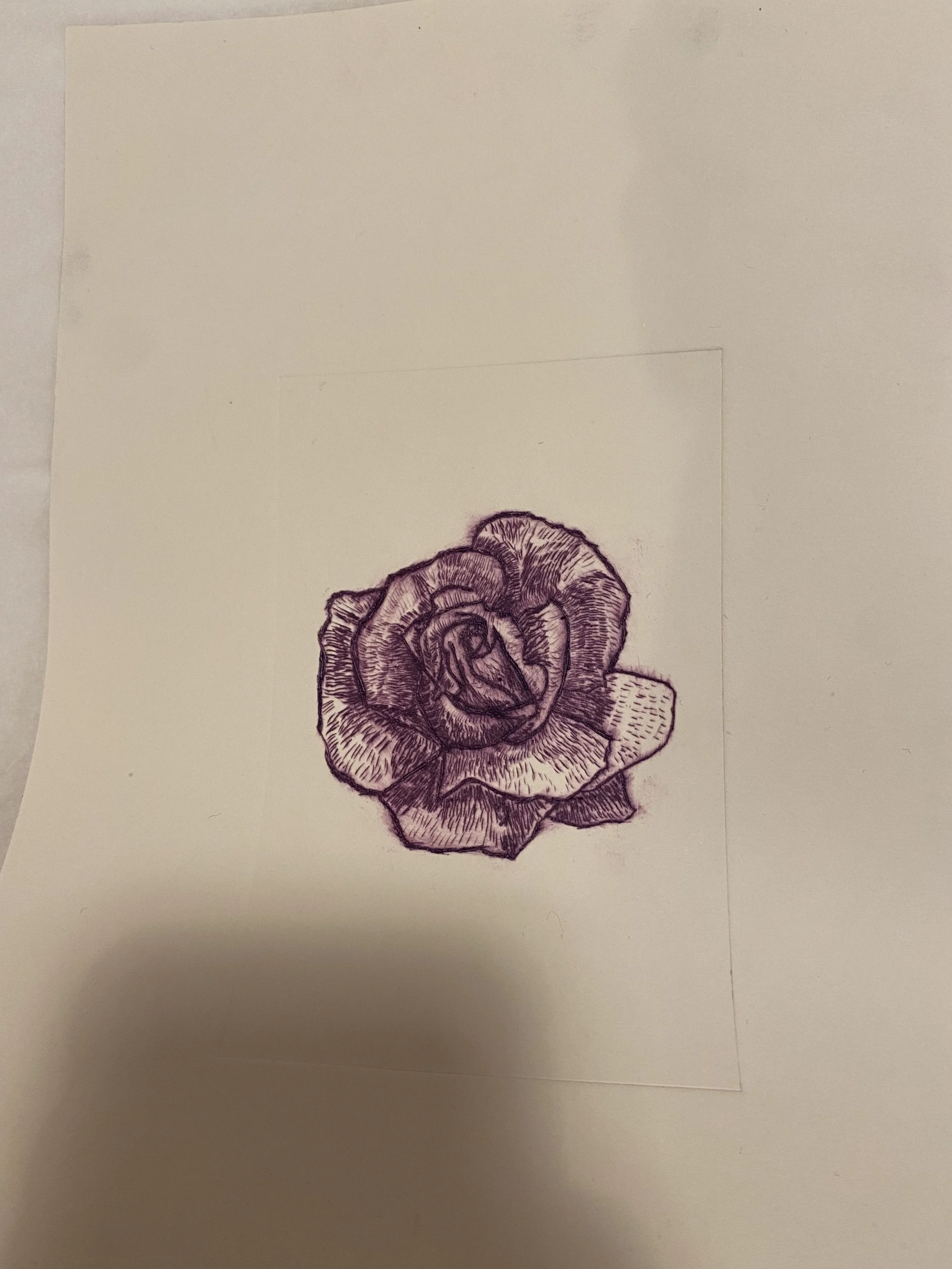 IMG_5906 2.jpeg