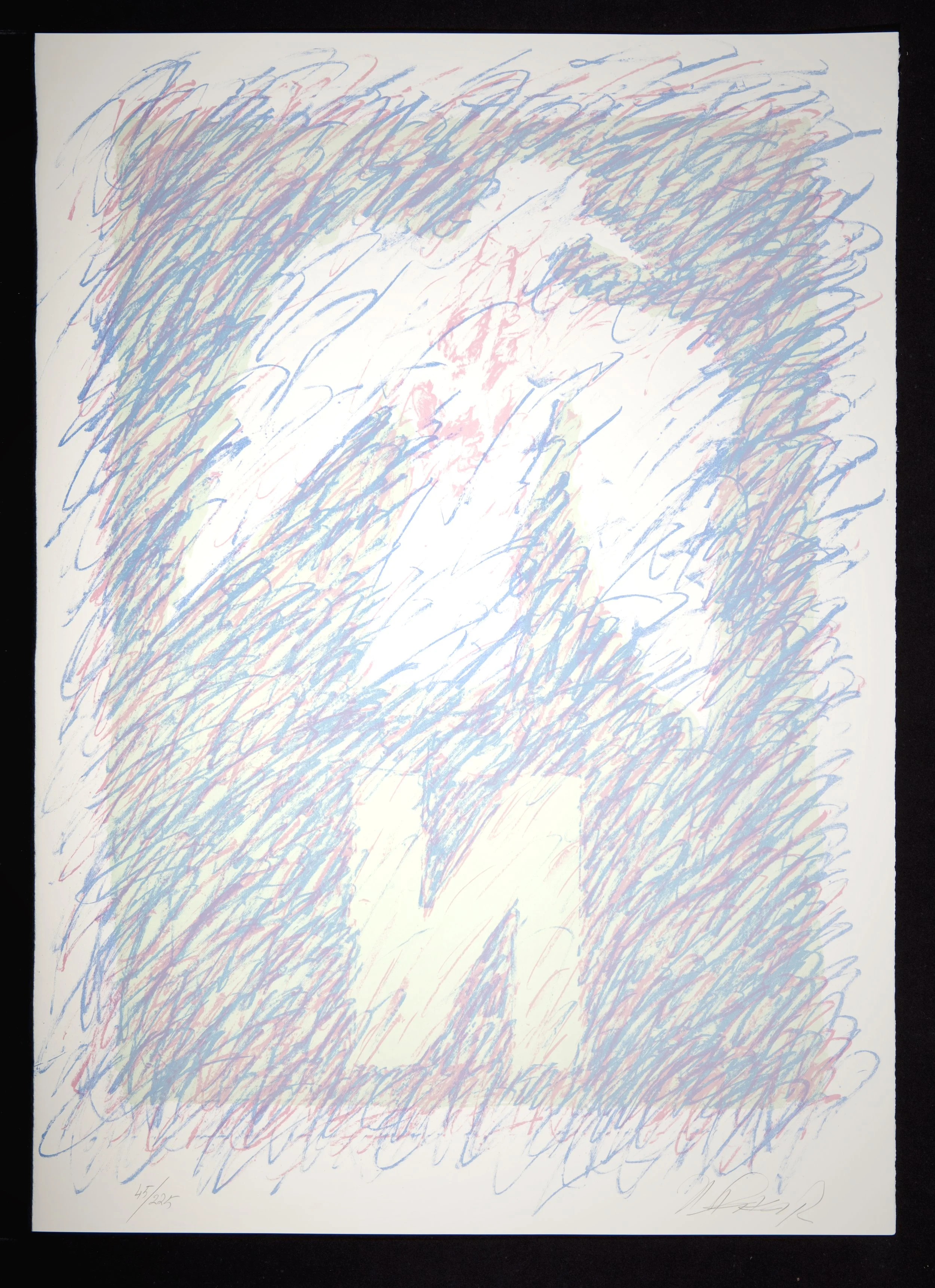 16 Seagull Triptych, Center I.jpg