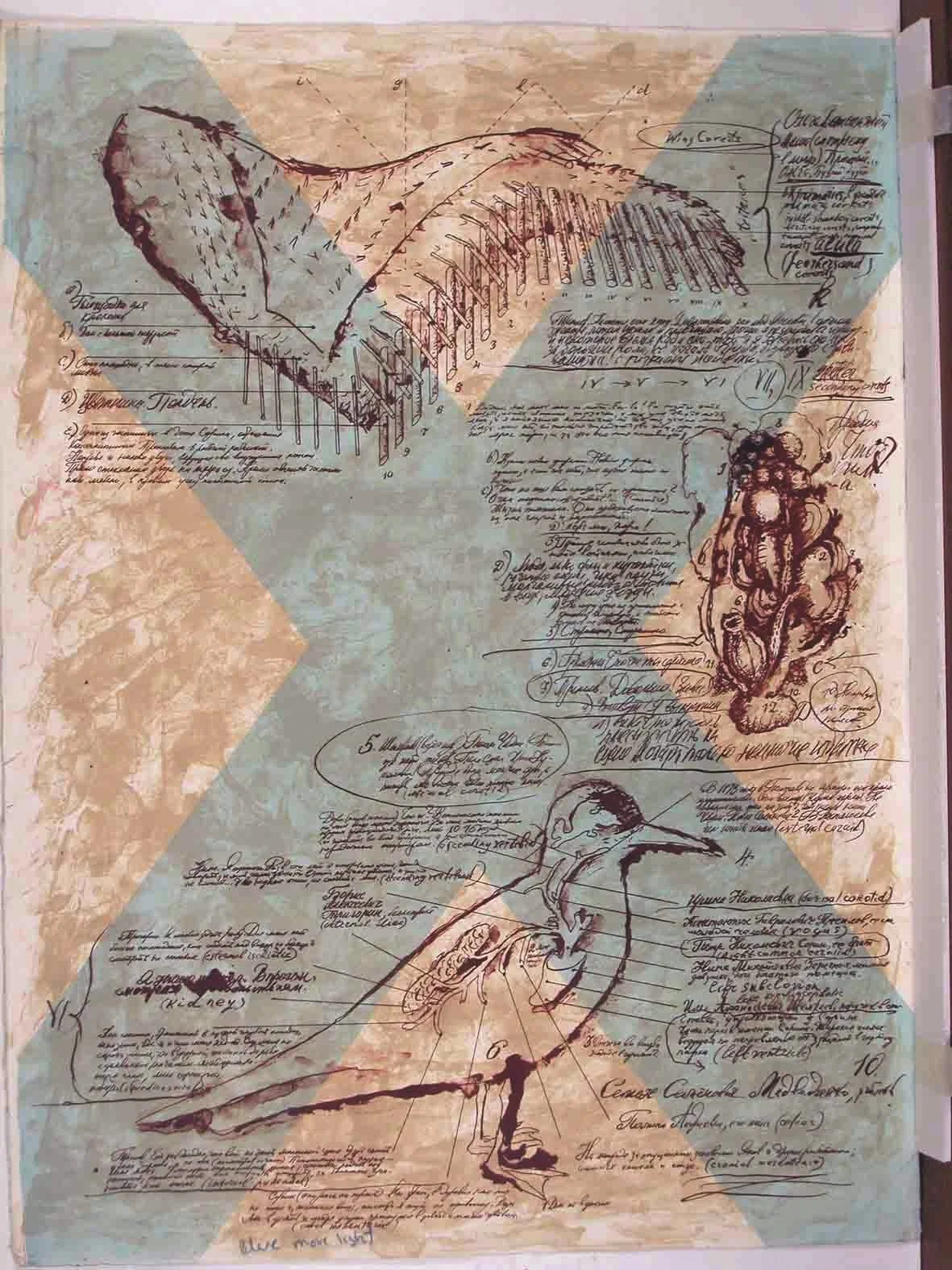 Makarevich Bird with St Andrews Cross.jpg