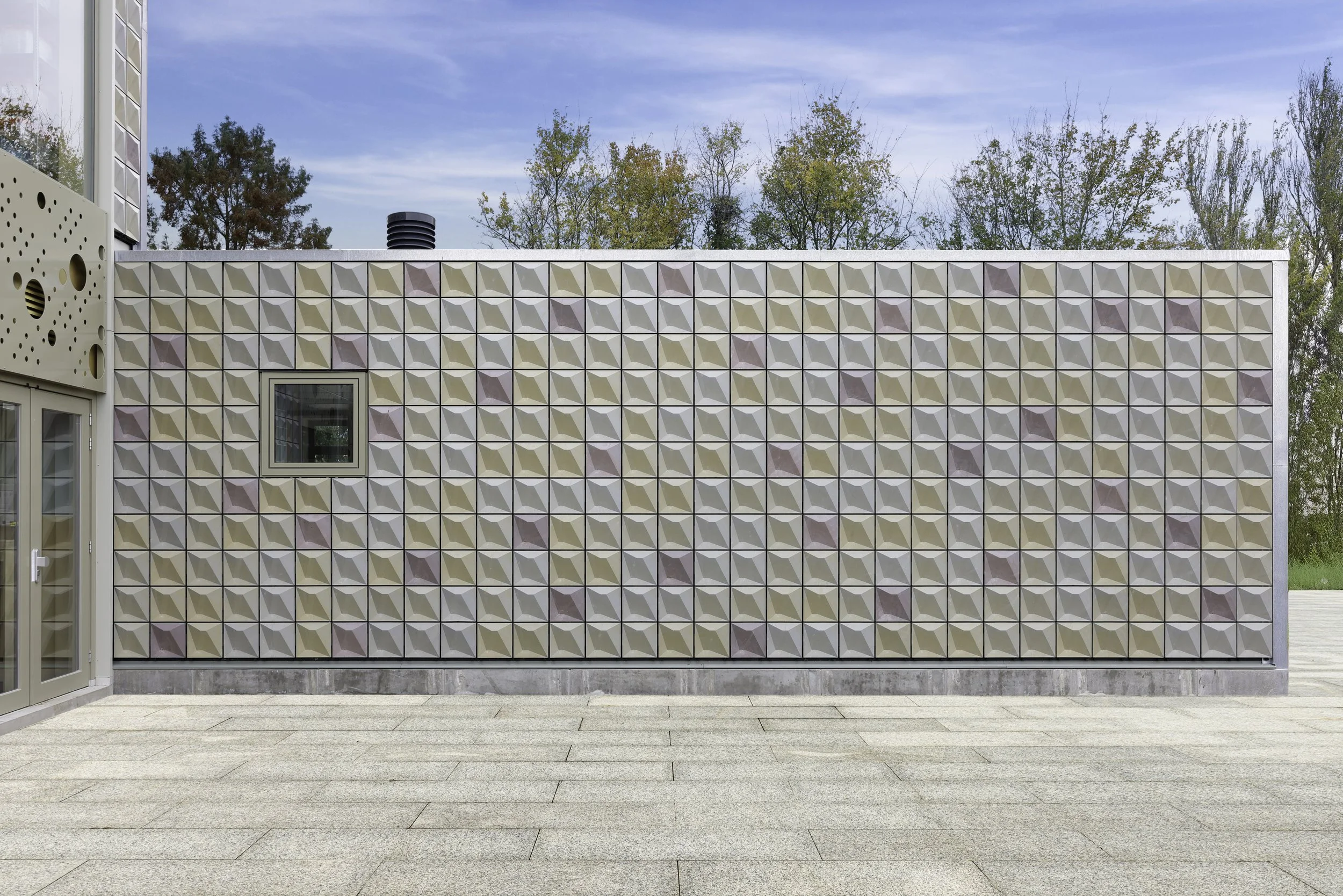 Tamboerijn shot-10 bewerkt.jpg