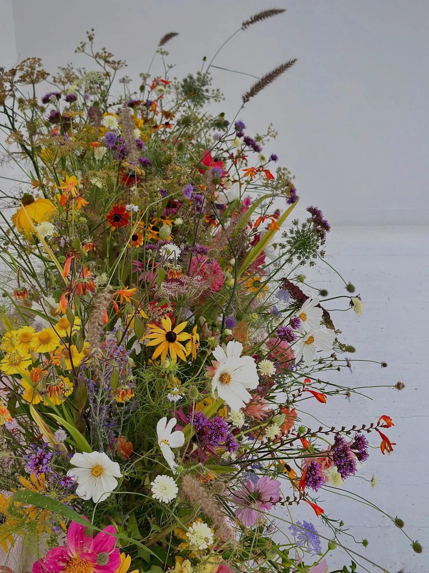 All the love for this weekend&rsquo;s wild, colourful and totally joyful wedding at the fabulous @fivefourstudios . Whispy, wavy, wafty but with all the seasonal pops. Big thanks to @islaandme.flowers for the extra flowery hands and to @full_moon_flo