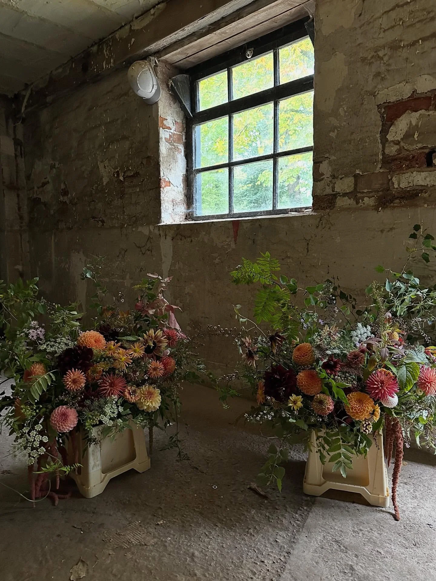 The dark afternoons do seem to encourage more phone activity which is definitely another downside 🫠. On the flip side though, it&rsquo;s when I discover just how many photos I&rsquo;ve taken throughout the season and how few I shared on here. I&rsqu