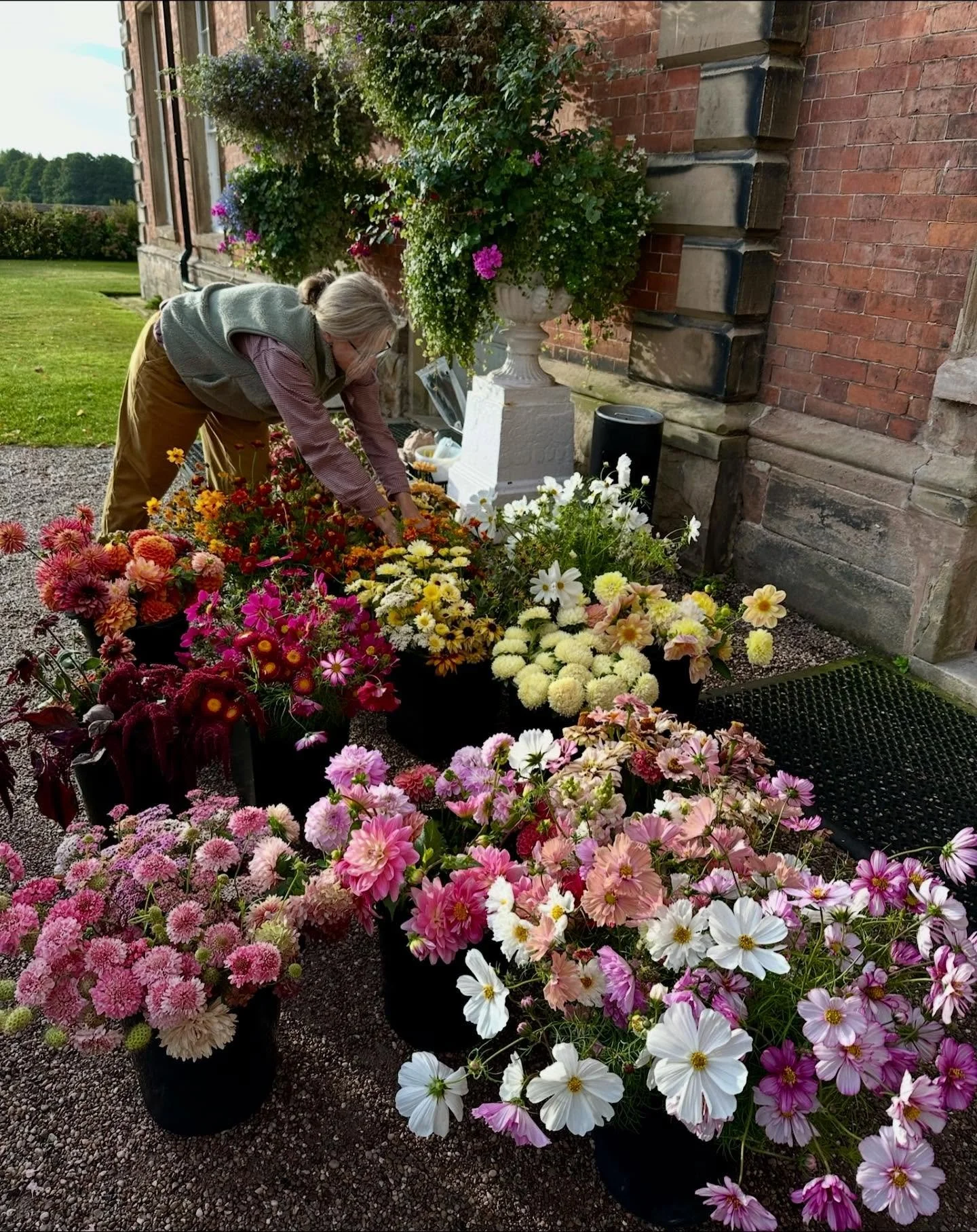 The bits you never see. Buckets and buckets of blooms grown, cut, conditioned, transported, unloaded, titivated and waiting for their moment to shine at the wedding they&rsquo;ve been specially chosen for. We take so much care over your wedding flowe