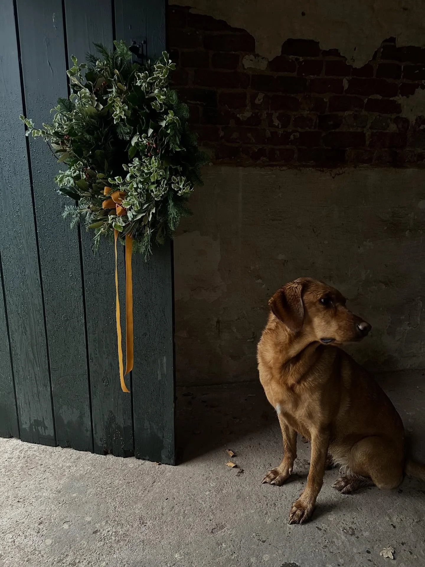 Making a plan to sneak in my own wreath soon&hellip;before I become wreathed out and am left with the dross. Let&rsquo;s see.