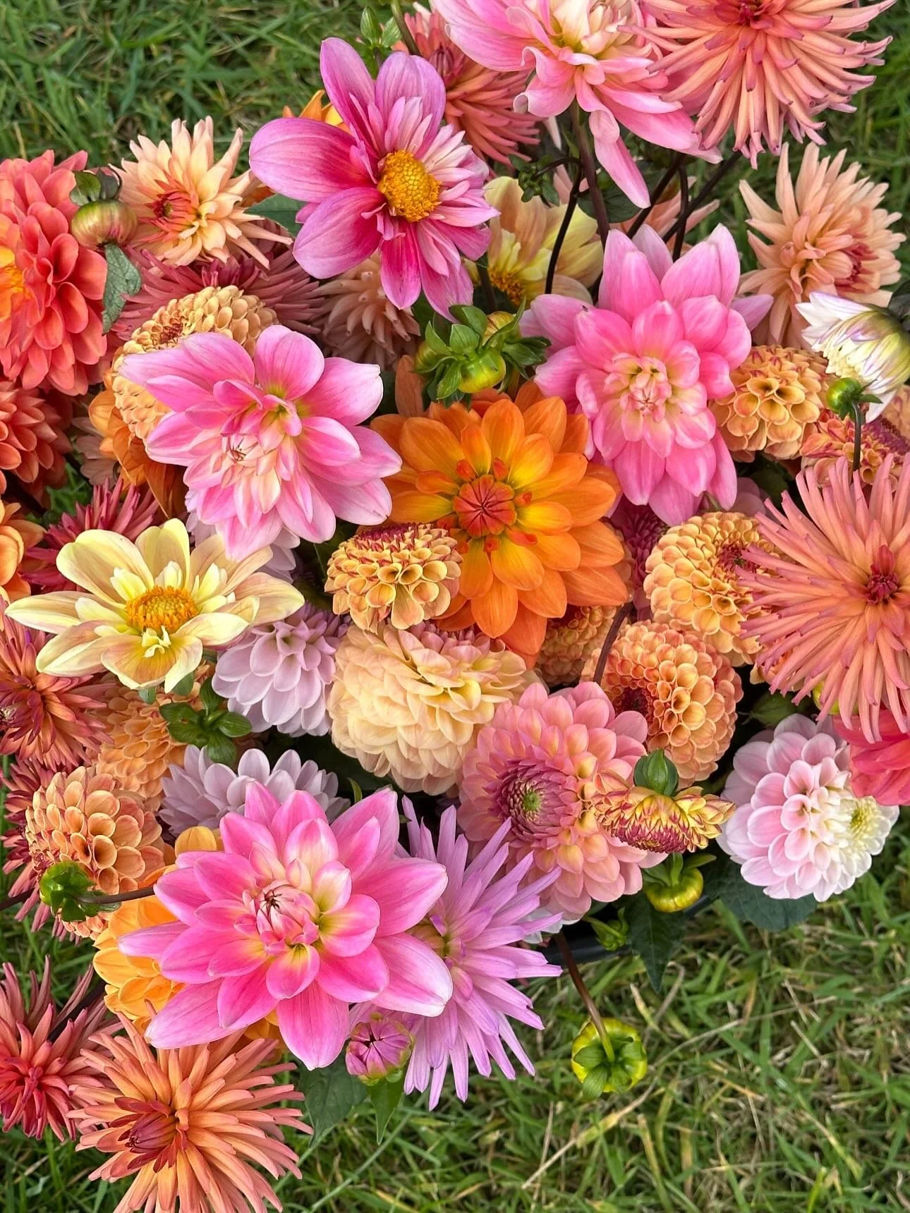 Colour hits for the first week of January. Getting back on the horse after a little Christmas breather. So much to share with you from last year that never made the grid. 
Flowery squares from weddings, the flower field, flower workshops and lots mor