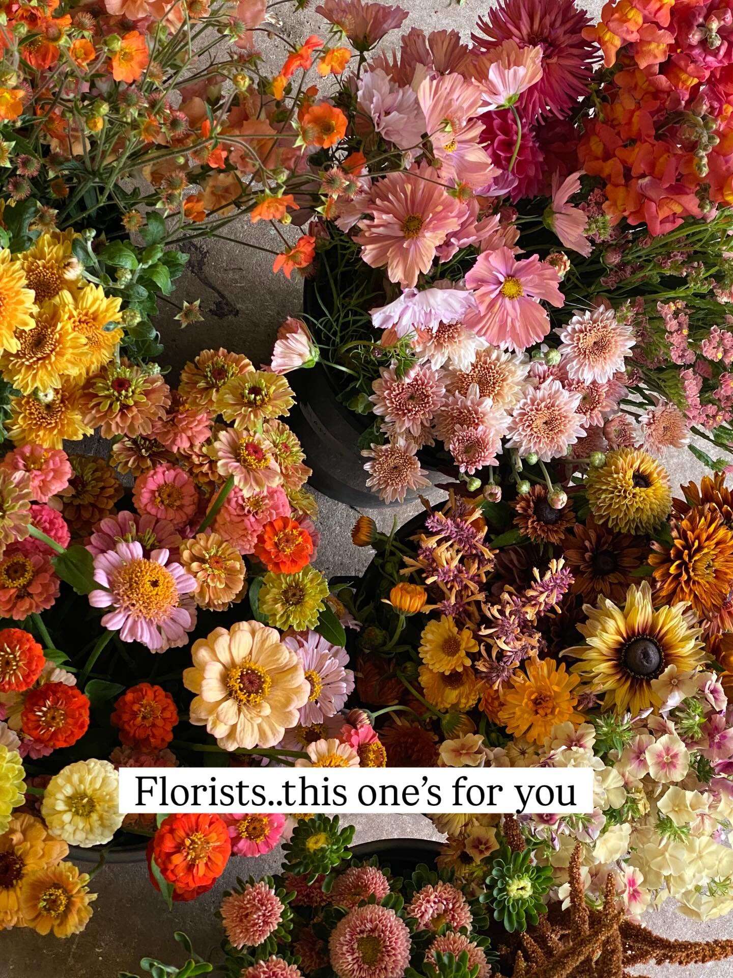 If you&rsquo;re a Cheshire or Manchester based florist and you&rsquo;re thinking about using British flowers this wedding season then we can help you. 

As an experienced event florist myself, we grow the types of flowers that I always wanted to buy 