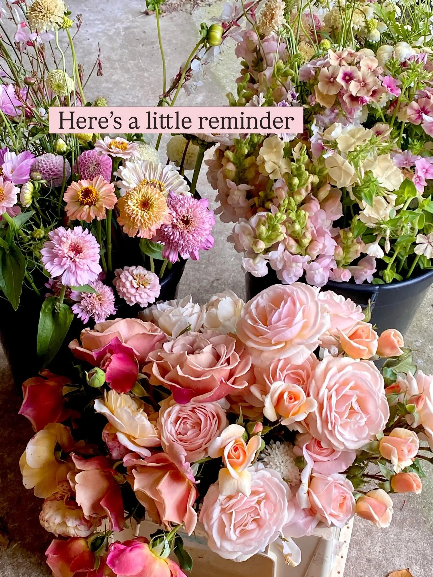 We love growing beautiful and unusual flowers that aren&rsquo;t readily available anywhere else.

We love growing seasonal flowers in rhythm with nature and embracing their natural forms. We love their wonky stems and letting them wave and trail arou