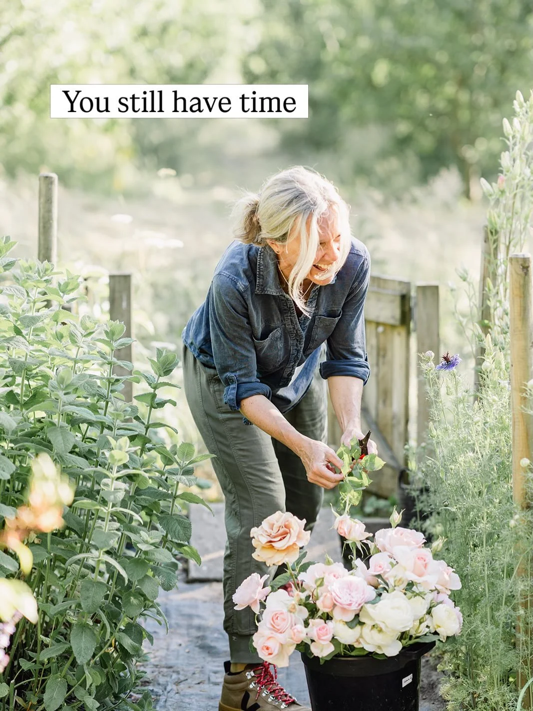 There&rsquo;s still time to give your roses a prune. I promise it&rsquo;s not hard and your roses will thank you and reward you with extra flowers. Roses are pretty forgiving, even if it&rsquo;s not perfect or you&rsquo;re a little heavy handed. It&r