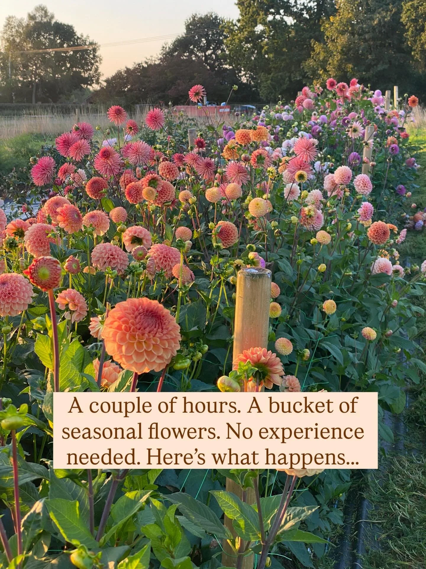 You don&rsquo;t need to &lsquo;be creative&rsquo;. It&rsquo;s all about some mindful time amongst the flowers, making memories and doing something joyful. A couple of hours, cutting your own bucket of seasonal flowers and making an arrangement to tak