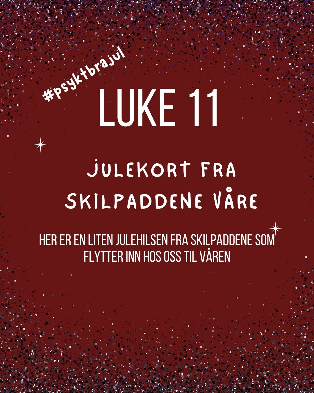 Her er en liten julehilsen fra v&aring;re fremtidige husdyr/medlemmer. 🐢🎅