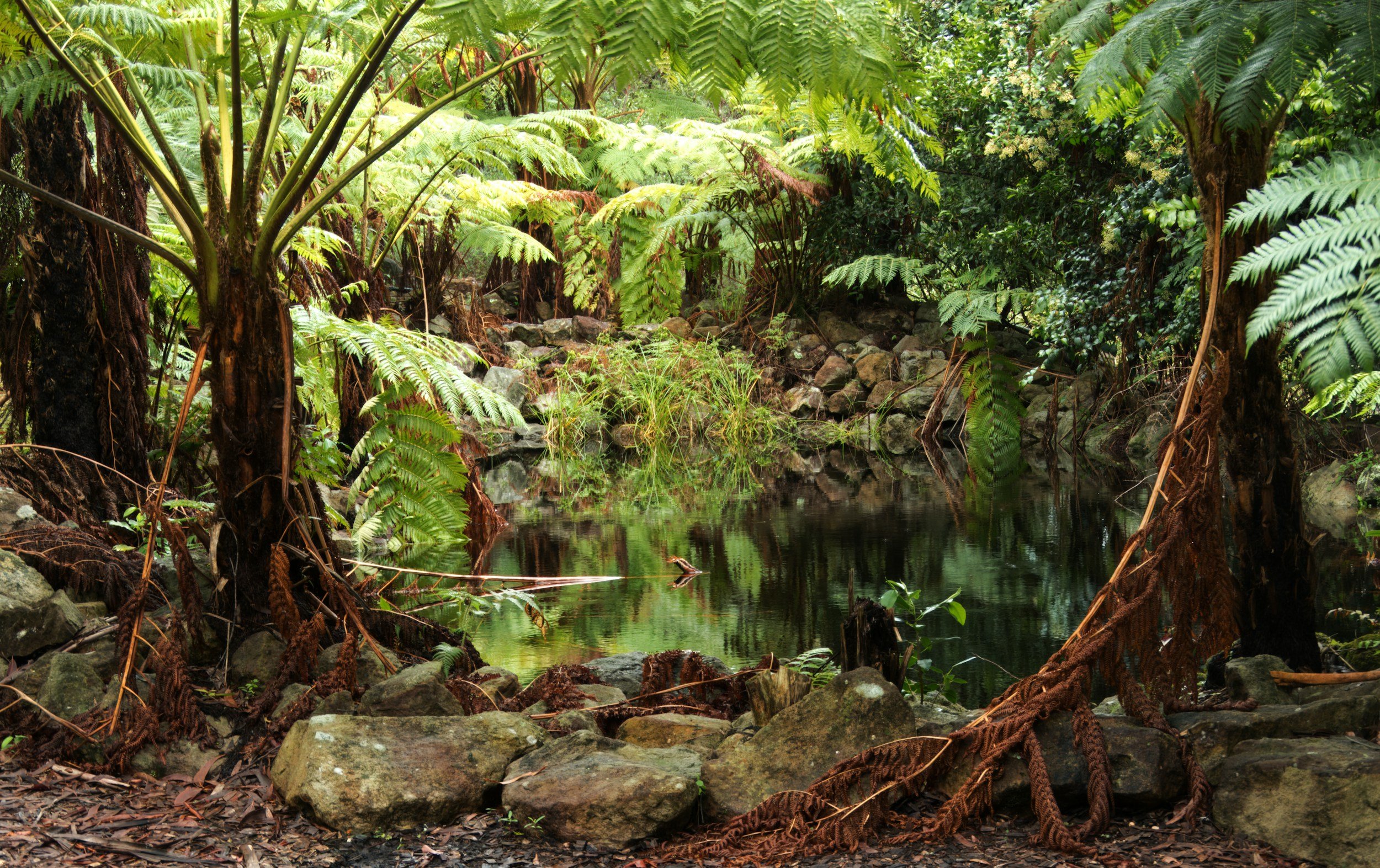 Fontenehuset og Lykke ( =   serotonin + dopamin)&nbsp;&nbsp;