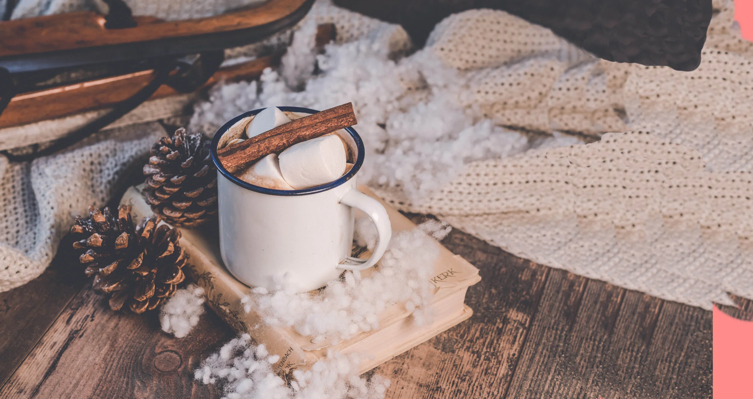 Holidays at The Horse Shoe Farm