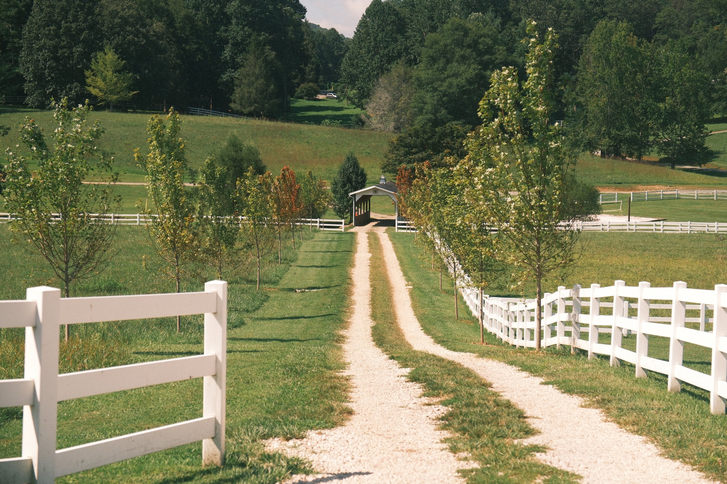 The Horse Shoe Farm - Grounds & Property202209010009.JPG