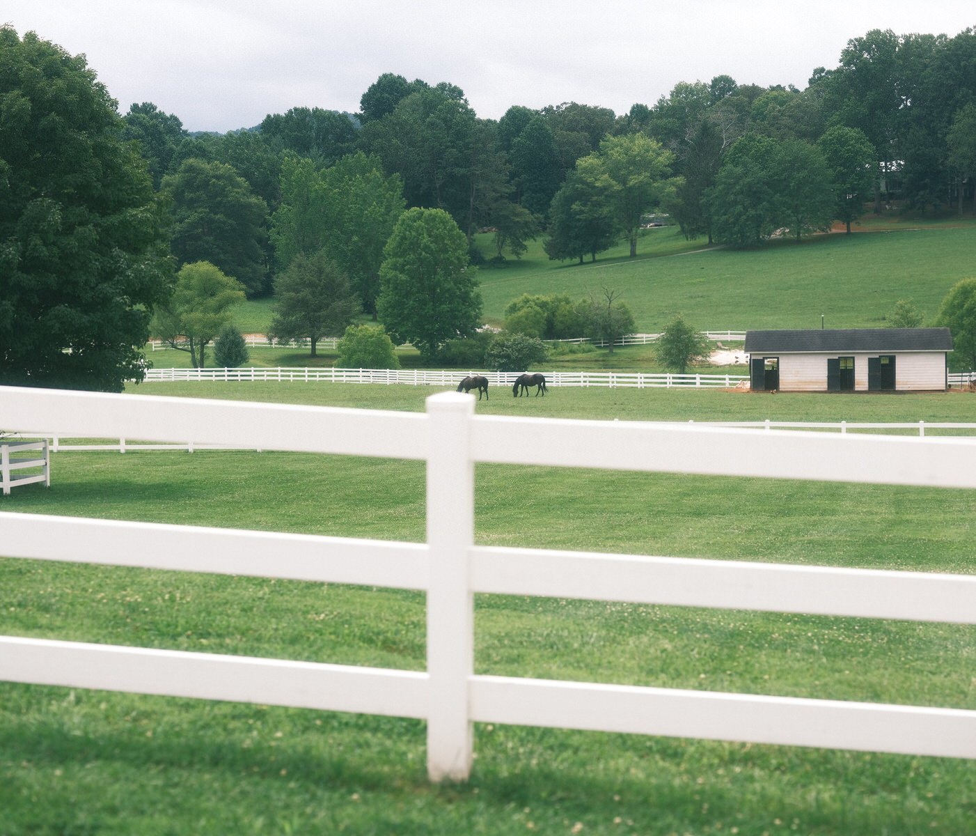 The Horse Shoe Farm - Grounds & Property202212150018.JPG