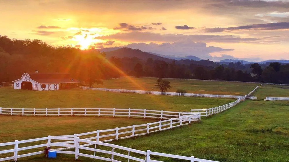 Discover Hendersonville's BestKept Secret Music, Dining