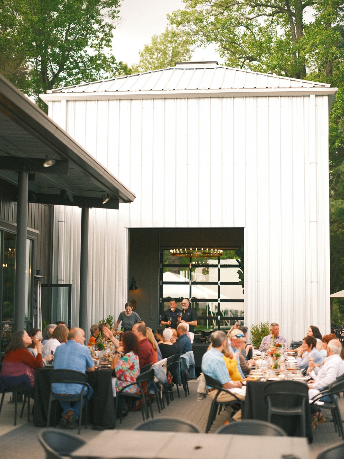 marked tree and the silo cookhouse2024-04-19 at 11.21.39 PM 12.JPG