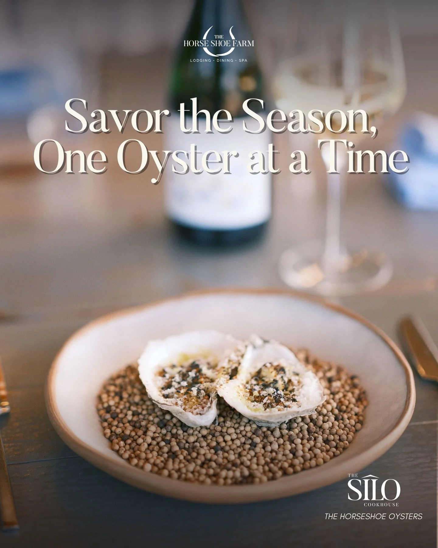 Winter evenings are made for slowing down and sharing the table. At @thesilocookhouse our fresh oysters &mdash; thoughtfully prepared with seasonal accompaniments &mdash; invite you to savor their delicate, briny flavor in the most peaceful way.

Wit