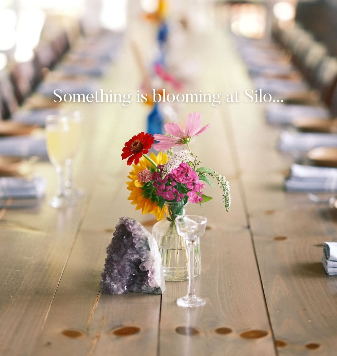 Something fresh is coming to the table. 

Our spring menu is on the way&mdash;celebrating the flavors of the season with bright ingredients, garden inspiration, and a few new favorites we can&rsquo;t wait to share.

Stay tuned.

#828isgreat #spring #