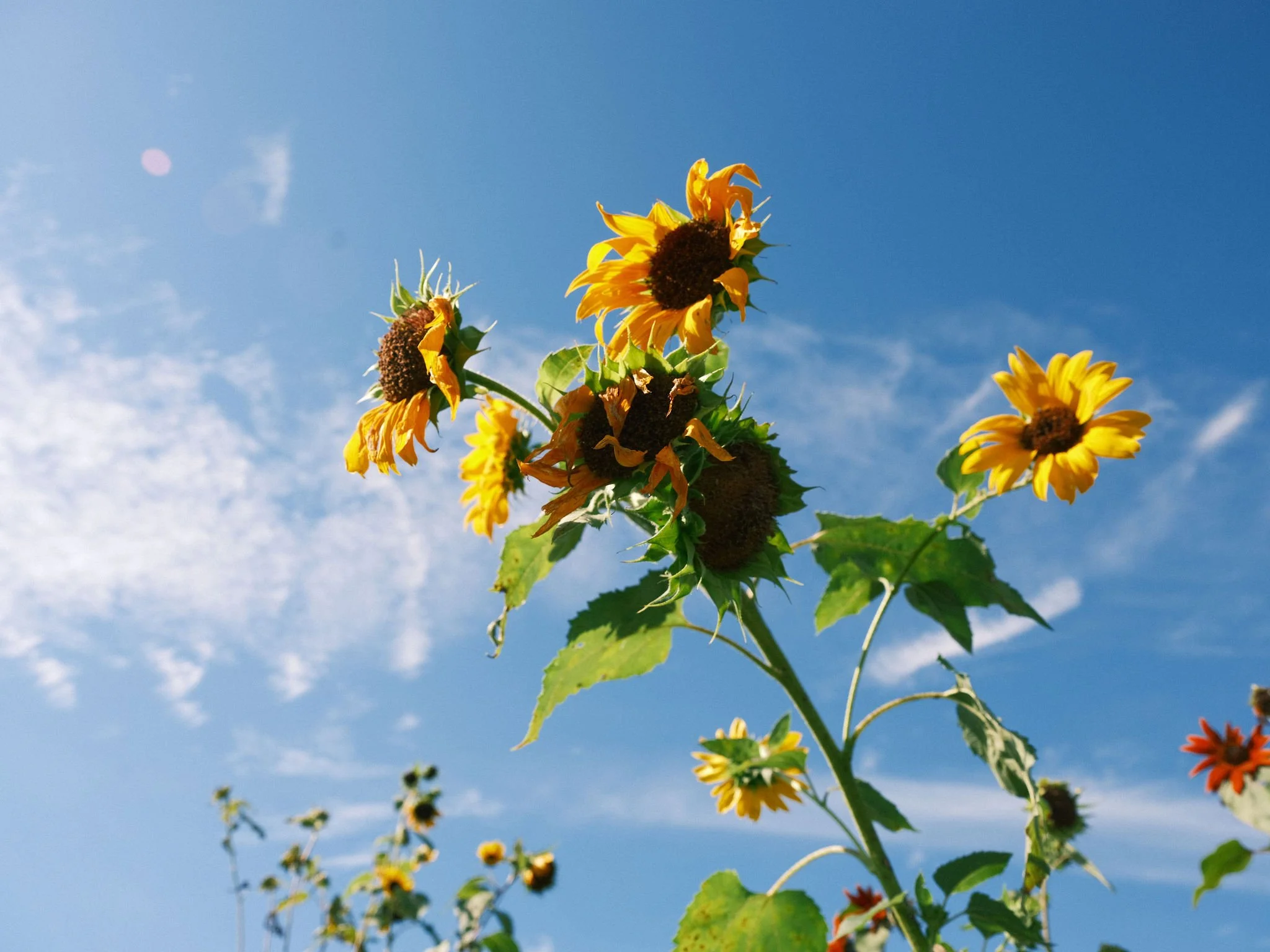 Get Your Hands Dirty With Ian 