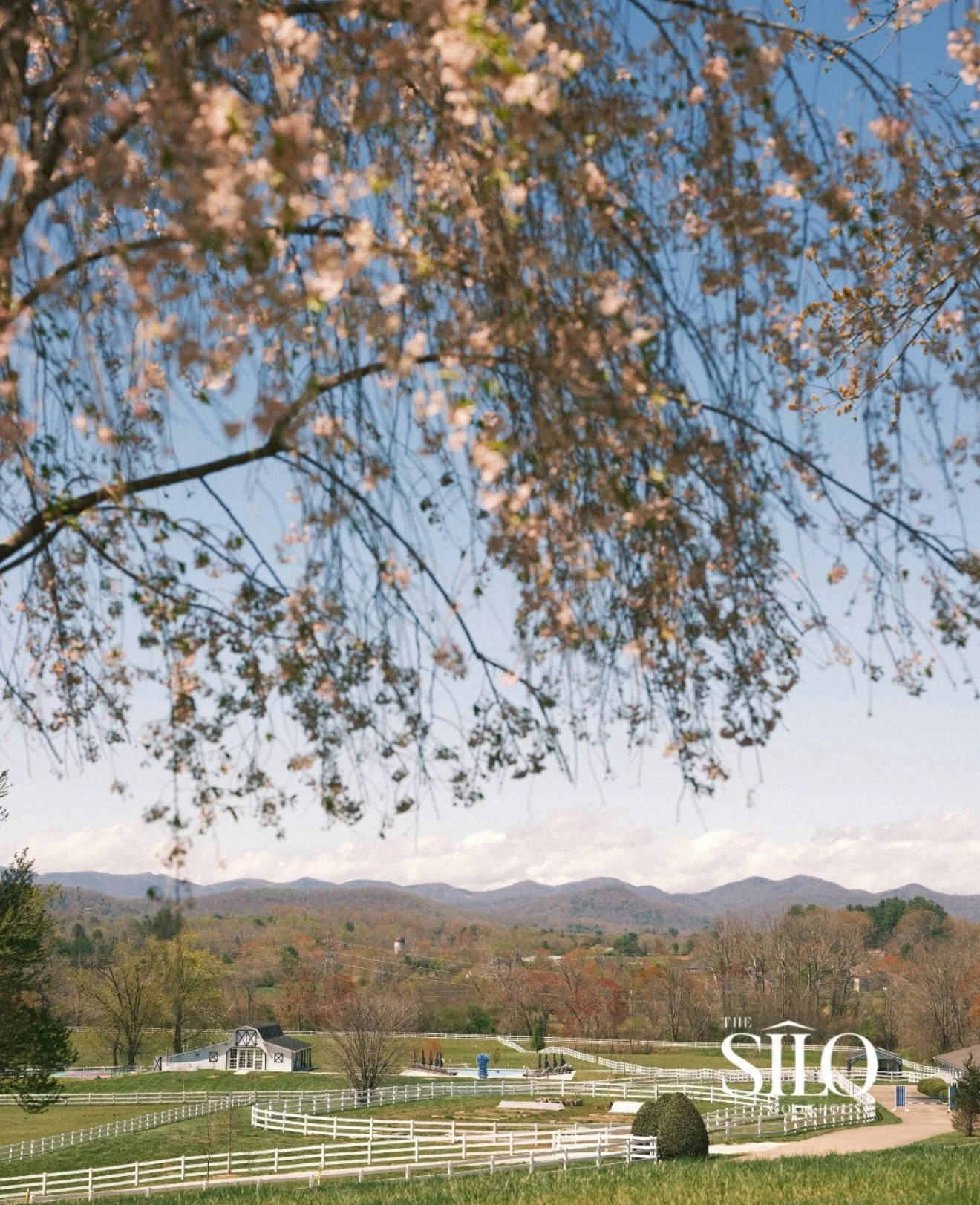 We tried to order sunshine for Mother&rsquo;s Day&hellip; apparently it&rsquo;s on backorder. 😅🌧️

But here&rsquo;s the thing &mdash; a little rain doesn&rsquo;t touch what actually matters.
This Sunday at&nbsp;The Silo Cookhouse, the tables are se