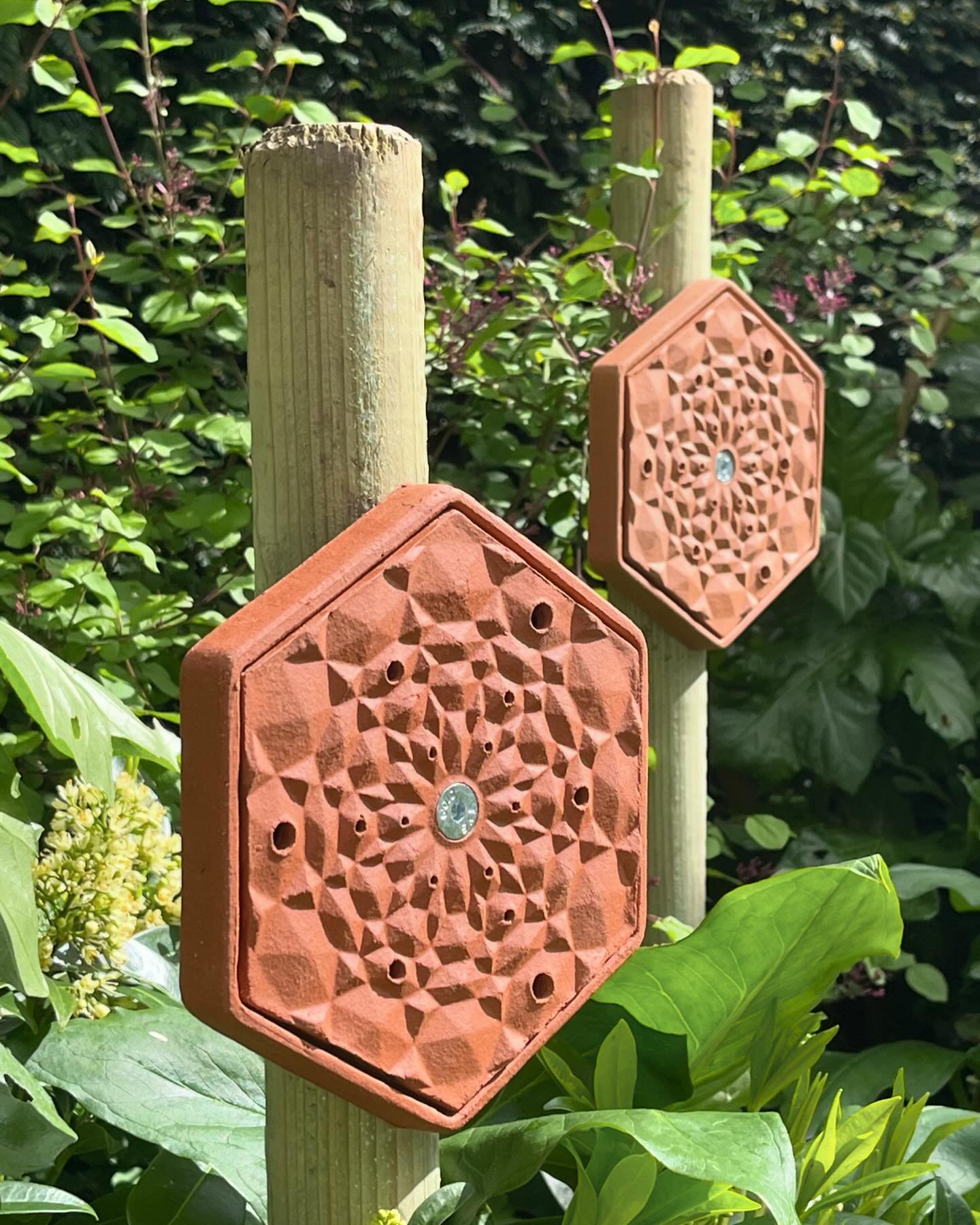 Introducing my new HexB tiles for solitary bees 🐝 featured on @bbccountryfile today at 5pm, Sunday 20th April 2024 and available to view on @bbciplayer for a year from today.
I have just installed 140 HexB tiles at 4 sites across the UK and will be 