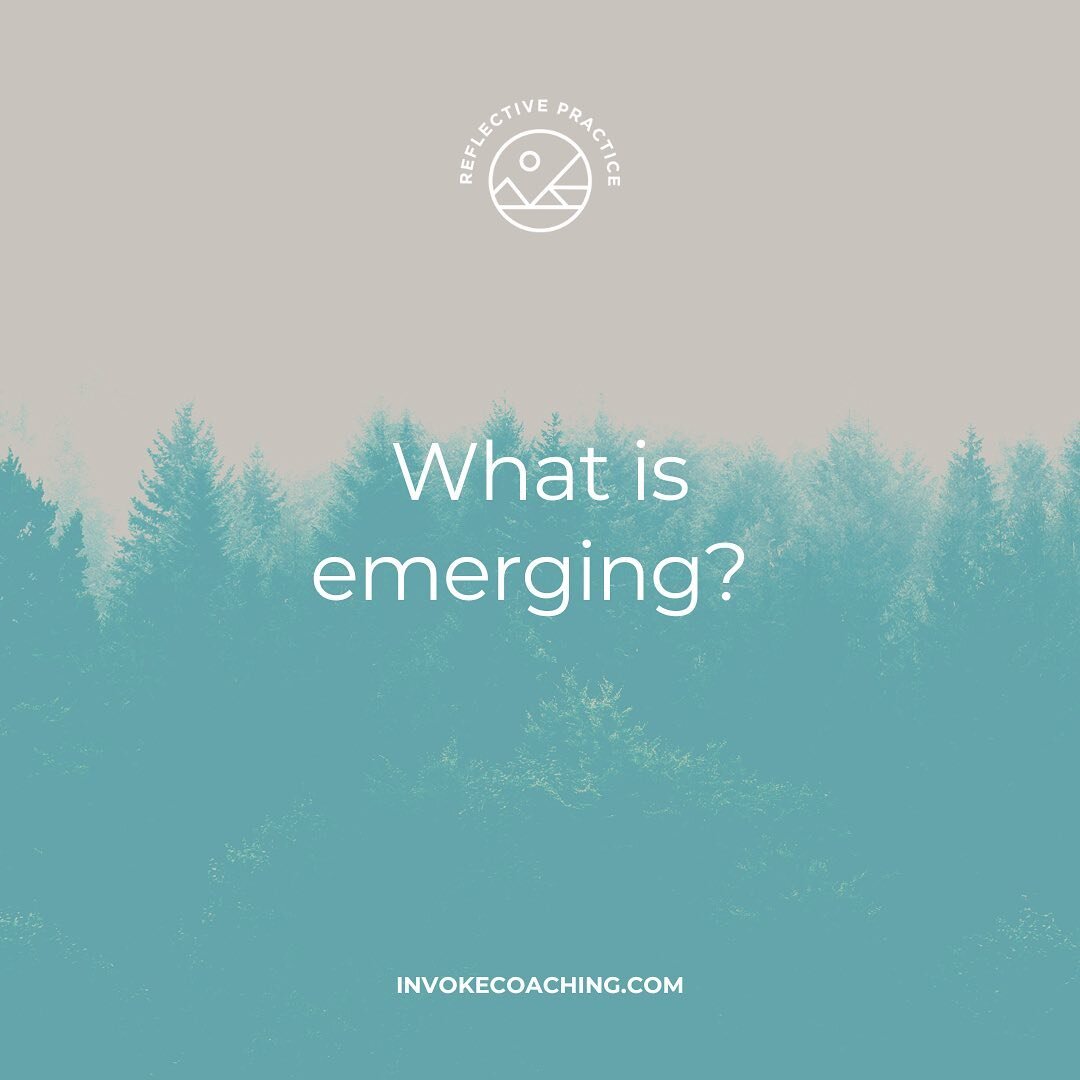Reflective questions help us get in touch with what is going on right now, and helps us get clear on what we feel, need, and value. What is emerging for you right now?