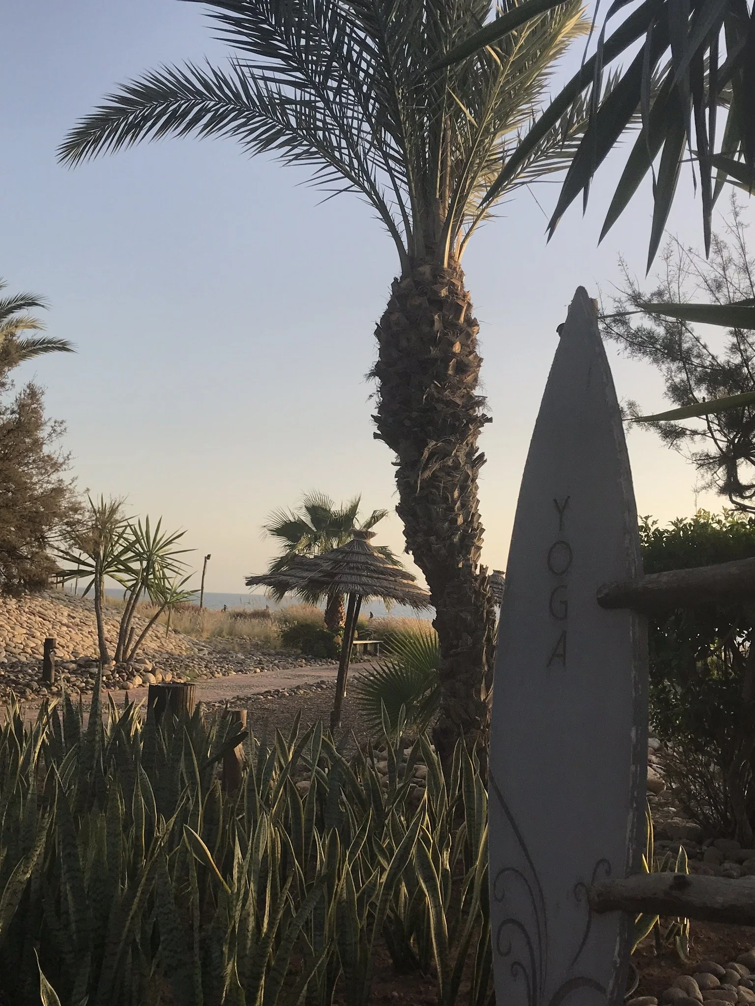 6 Reasons a Yoga Retreat is a Great Idea