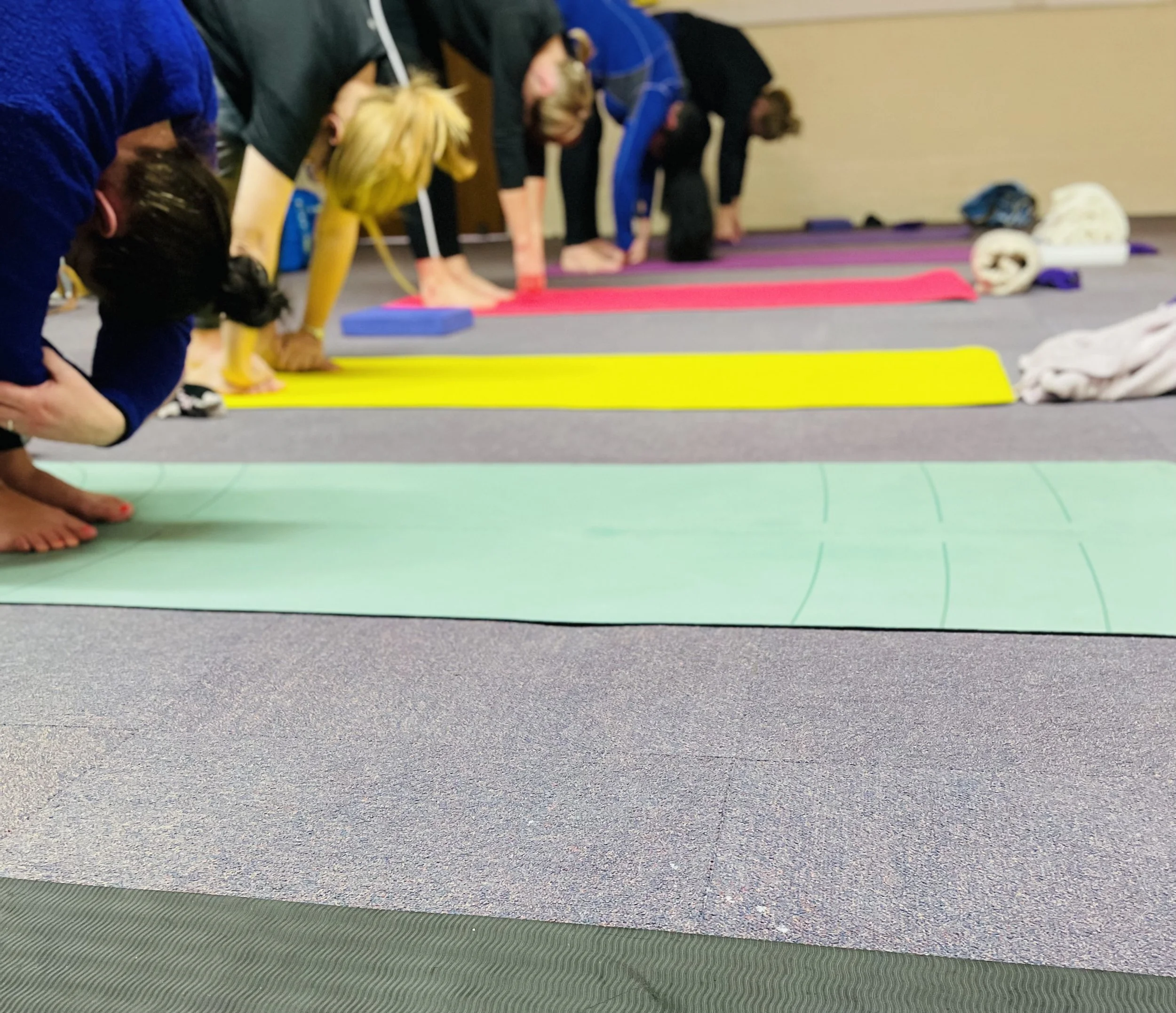 People practicing yoga on colorful mats in a studio, bending forward in a stretch.