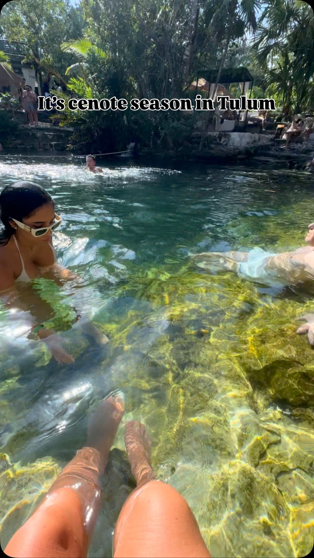 Yep, the sargasso is having a bad year in Tulum.. but Tulum has SO much more to offer! DM us to find out about where is great to go in Tulum right now!
#tulumparty #tulumconcierge #tulumplanner #tulum #tulumclub #tulumtravelagent #whattodointulum #t