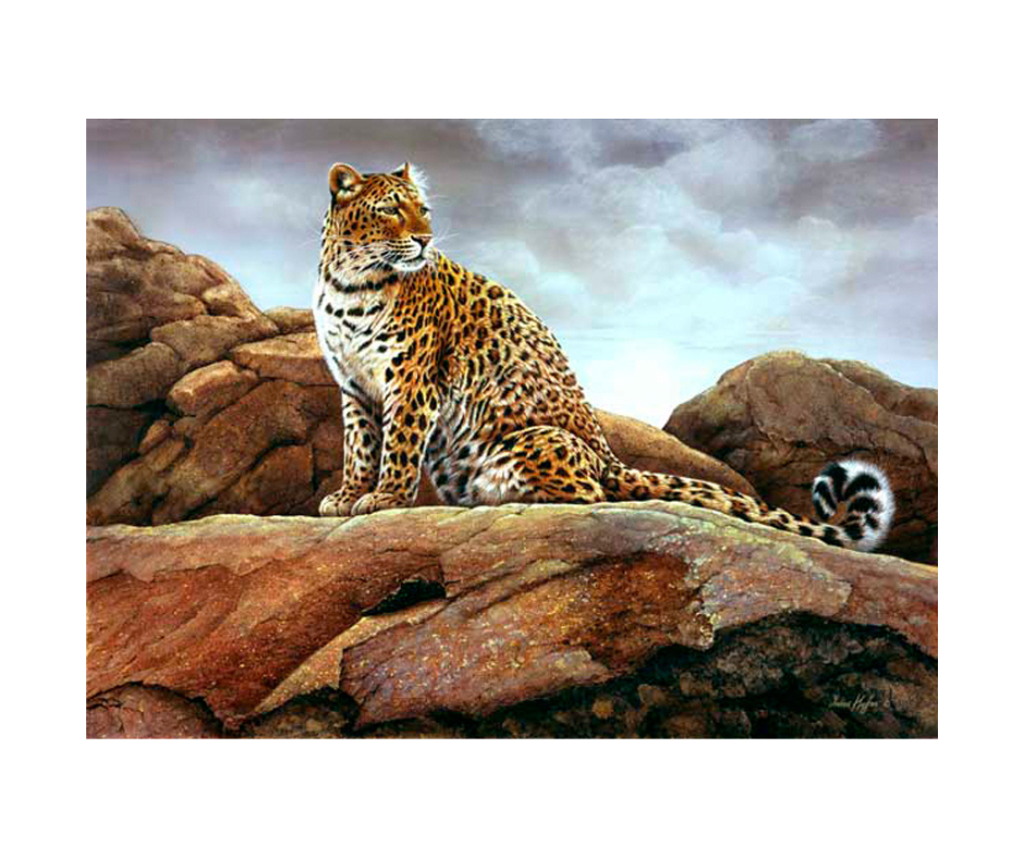 Picture of a leopard, limited edition print size 390 x 284 (mm)