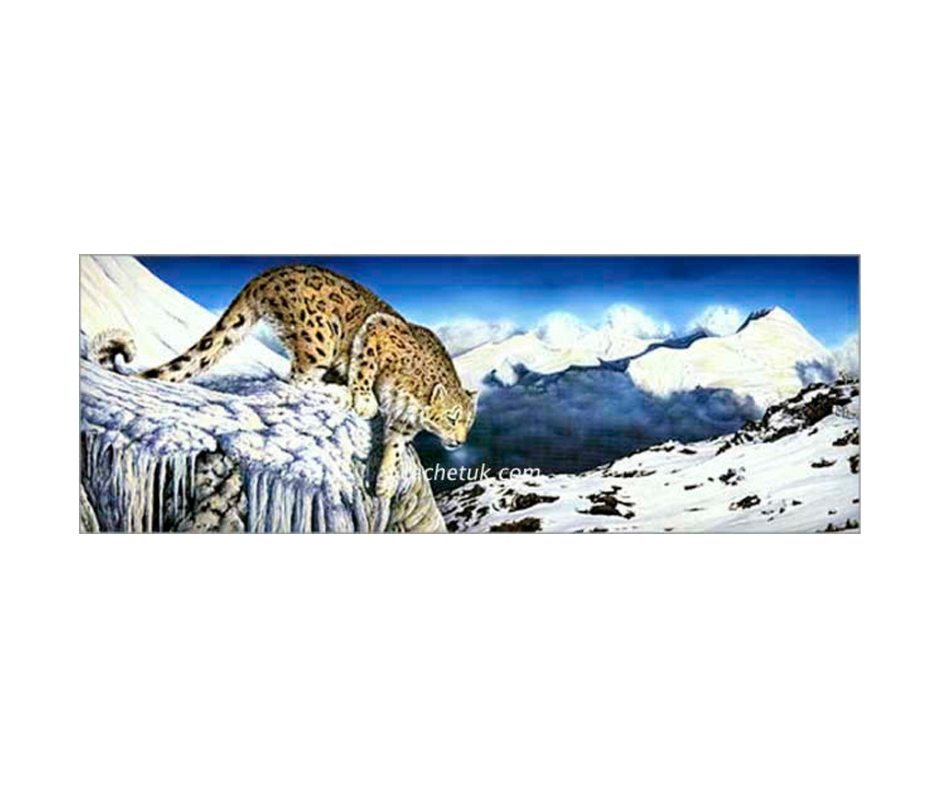 Picture of a snow leopard, limited edition print size 579 x 217 (mm)