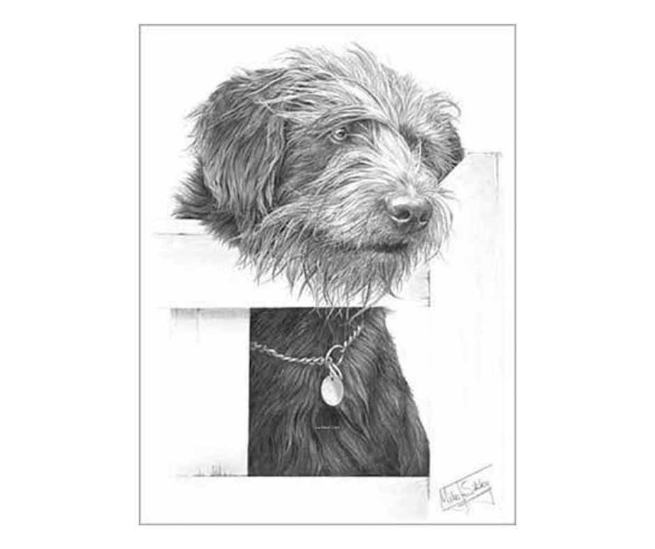 Picture of a mongrel dog, open edition print size 275 x 376 (mm)