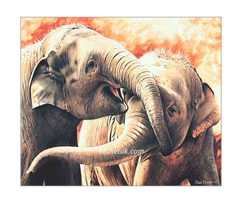 Picture of two Indian elephants, limited edition print size 185 x 155 (mm)
