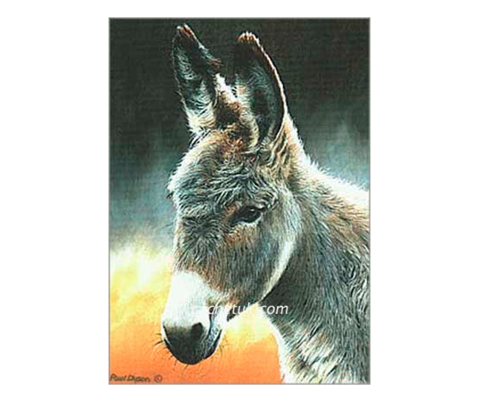 Picture of a donkey, limited edition print size 86 x 120 (mm)