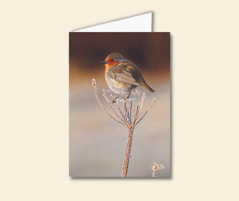 Robin Christmas Card | Robin Bird Greeting Card
