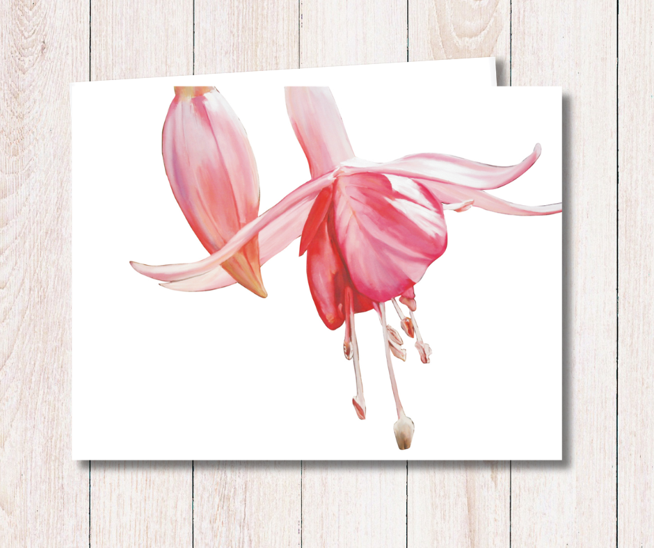 Small art card of a beautiful pink Fuchsia flower on a white background. Size 11.8 x 9.0 cms, blank inside with envelope