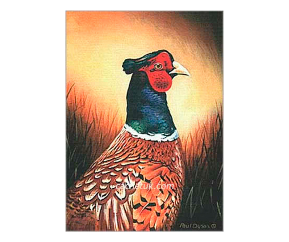 Picture of a pheasant, limited edition print size 86 x 120 (mm)