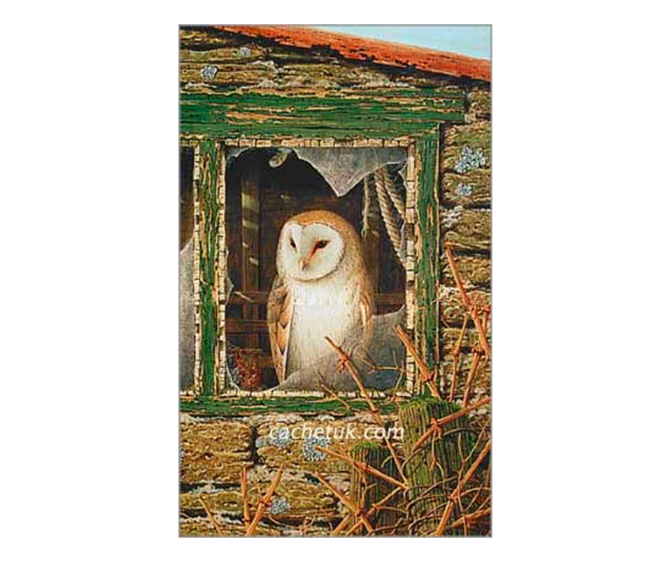 Picture of a barn owl, limited edition print size 200 x 332 (mm)