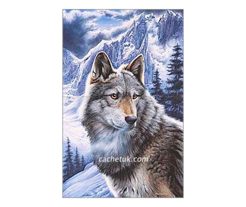 Picture of a wolf, limited edition print size 255 x 395 (mm)