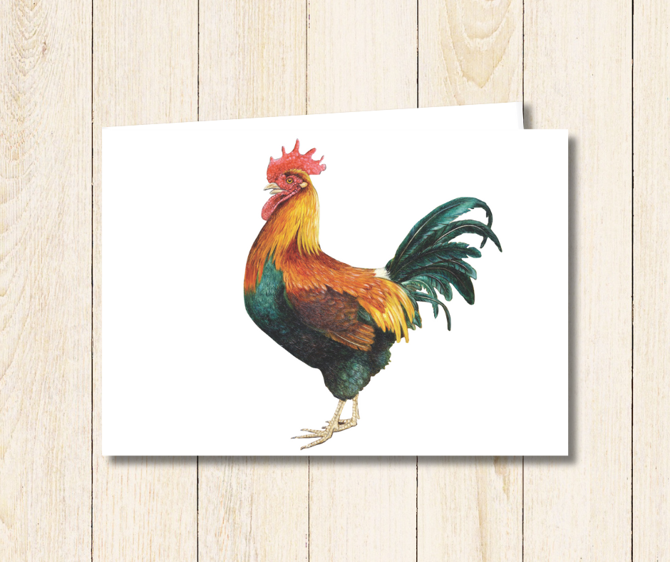 Rooster_Small_Art_Card_BTX24.png