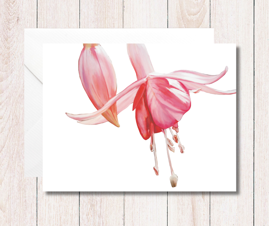 Small art card of a beautiful pink Fuchsia flower on a white background. Size 11.8 x 9.0 cms, blank inside with envelope