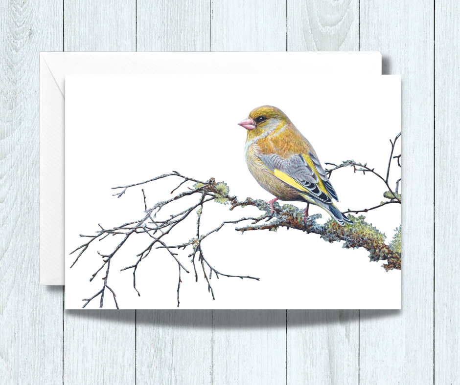 Mini Note Card of a Greenfinch Garden Bird
