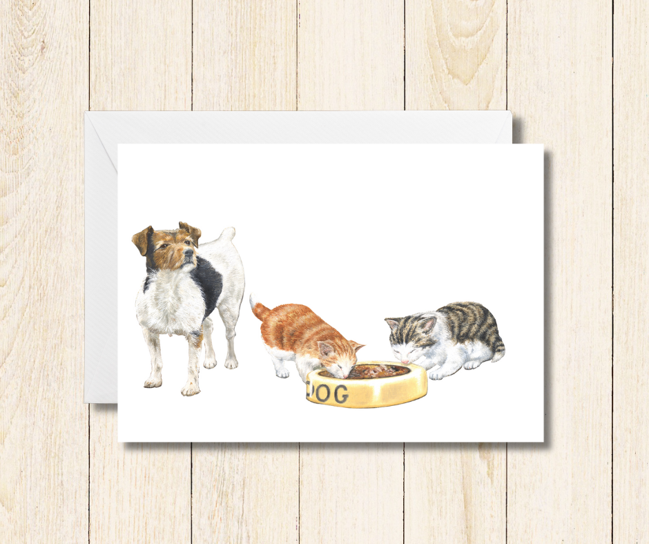Small art card of a colourful jack russell dog and two kittens on a white background. Size 11.8 x 9.0 cms, blank inside with envelope