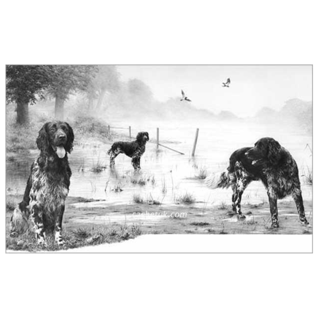 Picture of a mubsterlander dog, limited edition print size 445 x 275 (mm)
