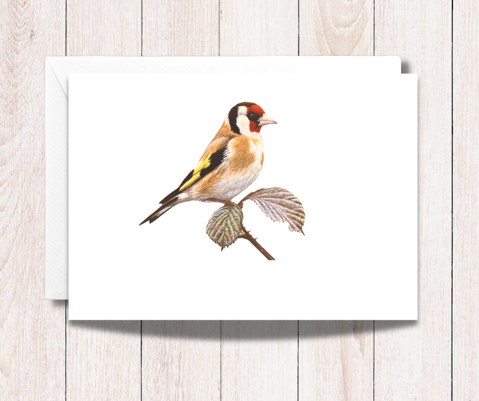 Small Art Card of a Goldfinch Garden Bird