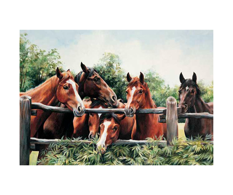 Picture of six horses at a fence, open edition print size 330 x 210 (mm)