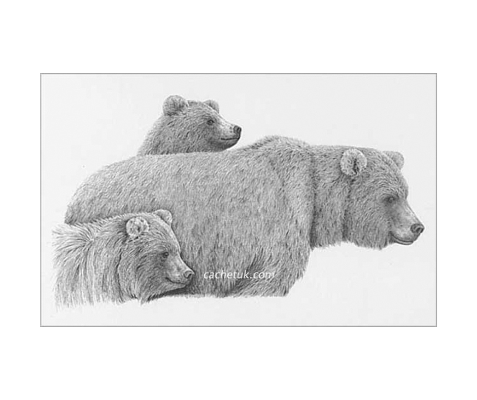 Picture of three bears, limited edition print size 242 x 162 (mm)